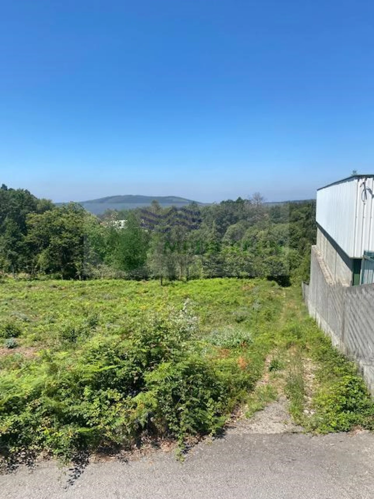 Terreno para Venda em Silva Escura e Dornelas Foto 4