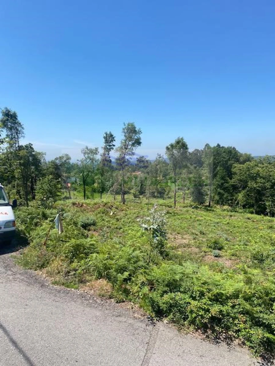 Terreno para Venda em Silva Escura e Dornelas Foto 5