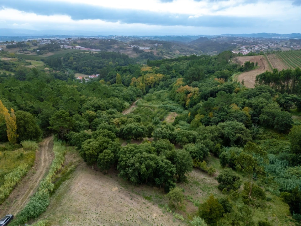 Terreno para Venda em Barrio Foto 9