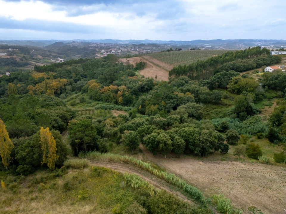 Terreno para Venda em Barrio Foto 4