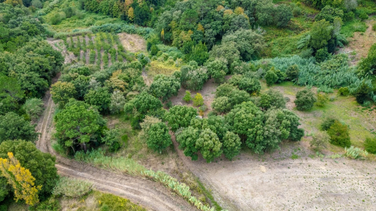 Terreno para Venda em Barrio Foto 5
