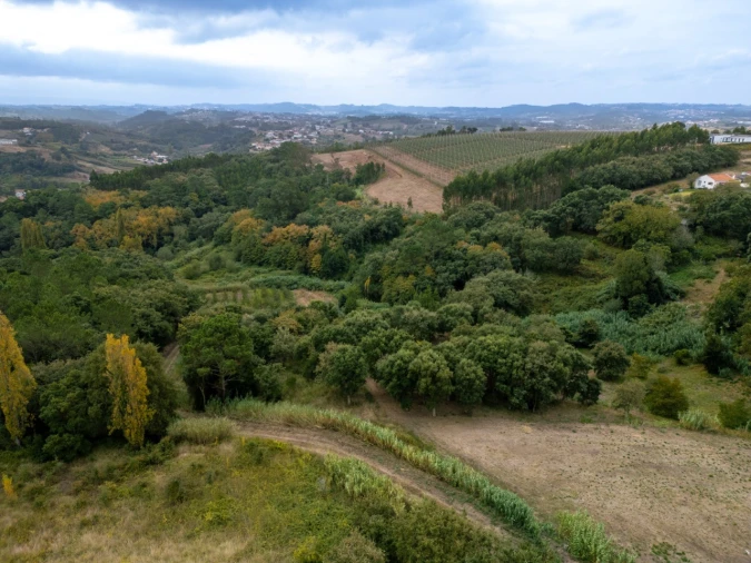 Terreno para Venda em Barrio Foto 4