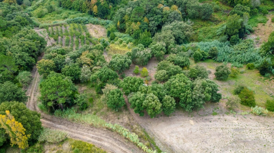 Terreno para Venda em Barrio Foto 5