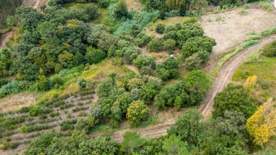 Terreno para Venda em Barrio Foto 3