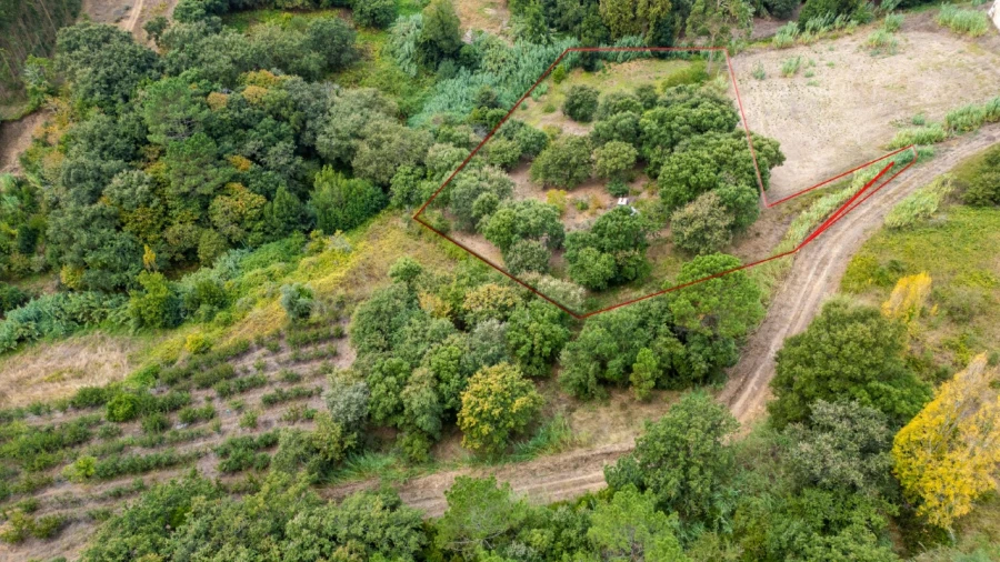 Terreno para Venda em Barrio Foto 13