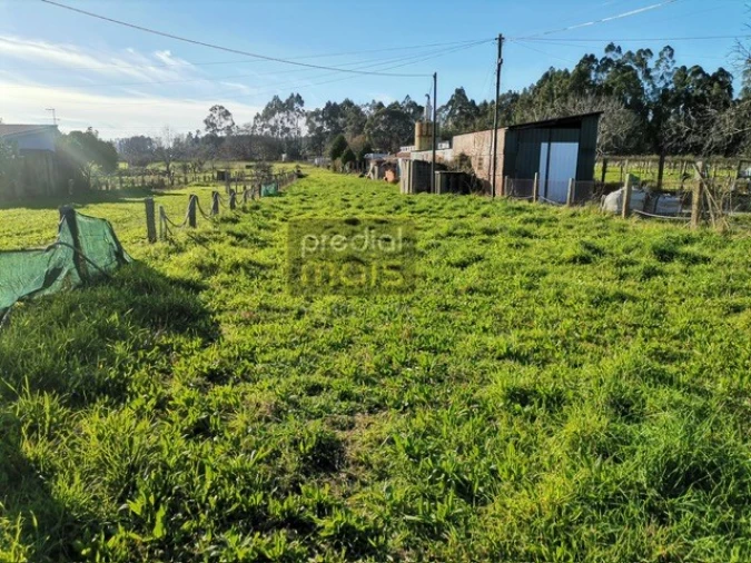 Terreno para Venda em Airão Santa Maria, Airão São João e Vermil Foto 1