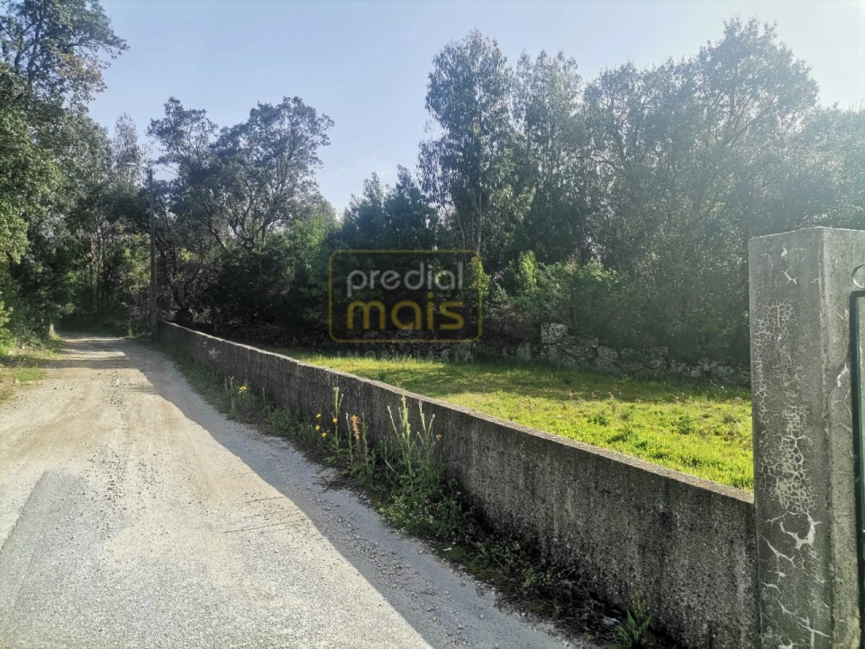 Terreno para Venda em Landim Foto 4