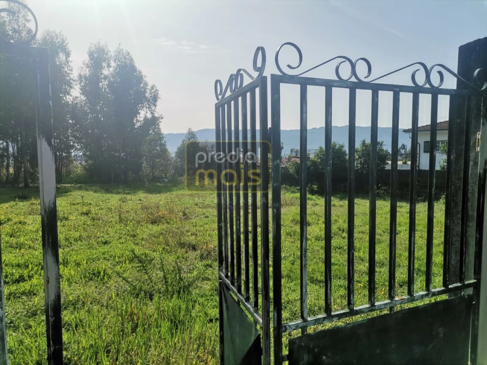 Terreno para Venda em Landim Foto 5