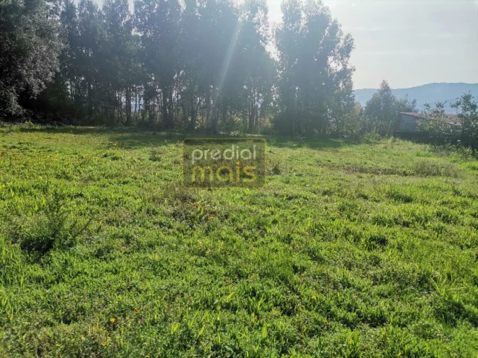 Terreno para Venda em Landim