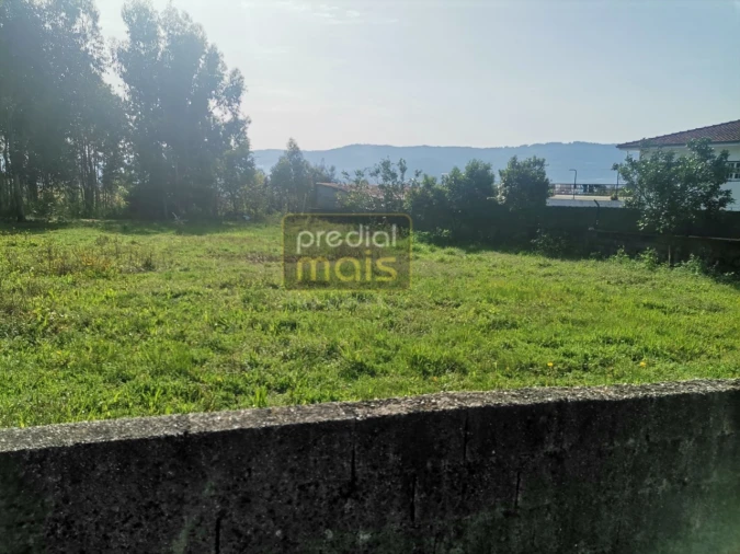 Terreno para Venda em Landim Foto 3