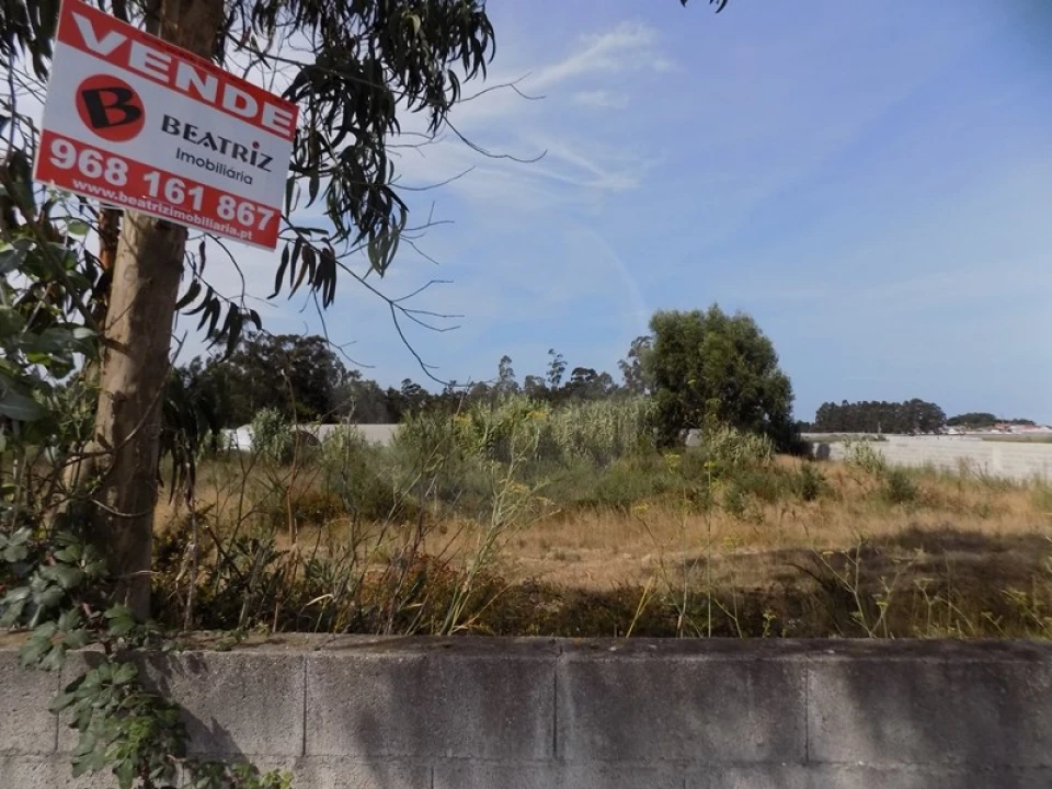 Terreno para Venda em Estela Foto 11