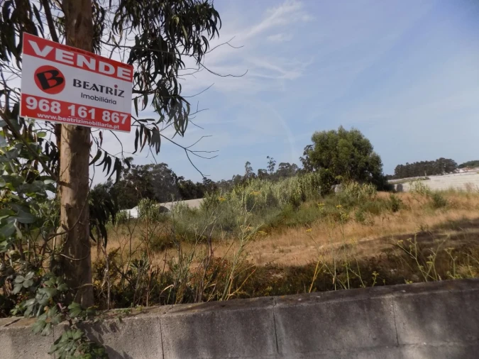 Terreno para Venda em Estela Foto 4