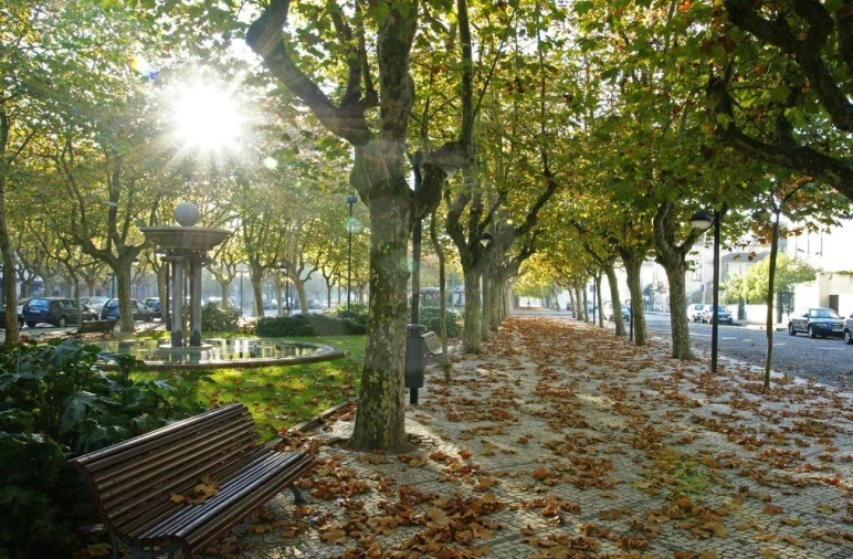 Loja para Cedência de Quotas em Vila do Conde Foto 17
