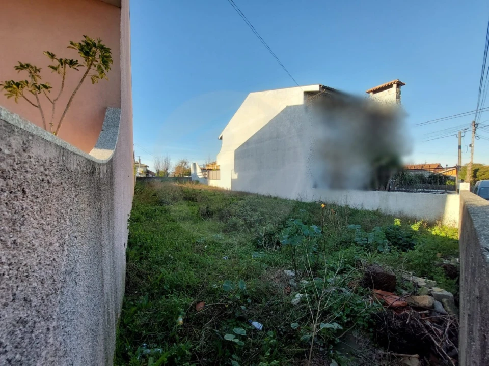 Terreno para Venda em Junqueira Foto 5