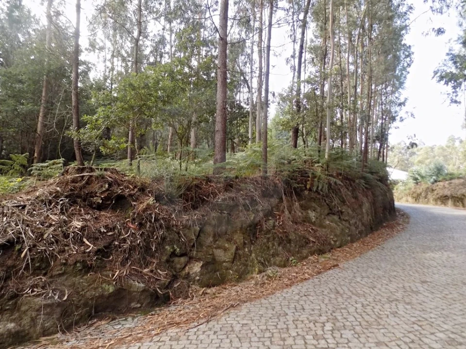 Terreno para Venda em Touguinha e Touguinhó Foto 3