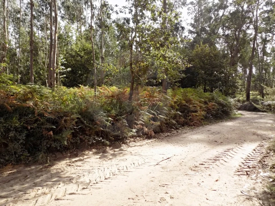 Terreno para Venda em Touguinha e Touguinhó Foto 4