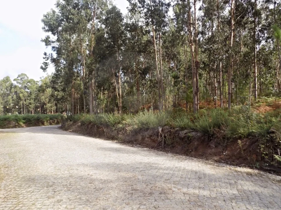 Terreno para Venda em Touguinha e Touguinhó Foto 9