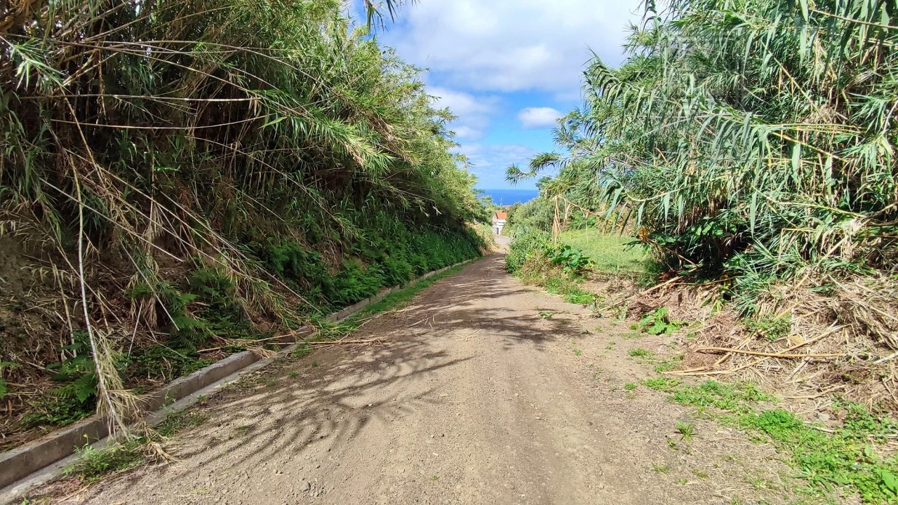 Terreno Agricola ou Rústico para Venda em Ajuda da Bretanha Foto 6