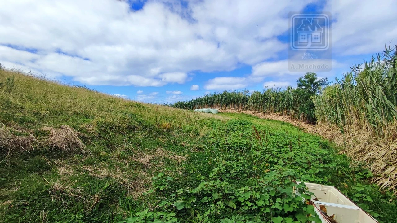 Terreno Agricola ou Rústico para Venda em Ajuda da Bretanha Foto 9