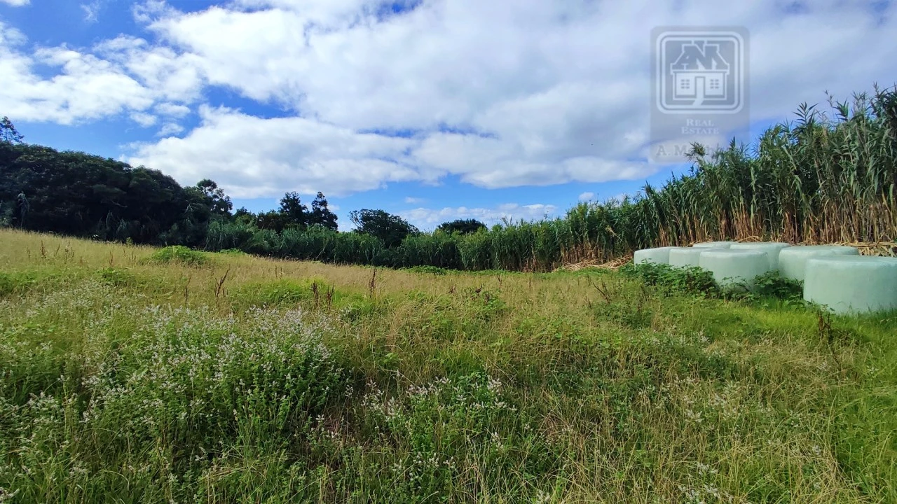 Terreno Agricola ou Rústico para Venda em Ajuda da Bretanha Foto 10