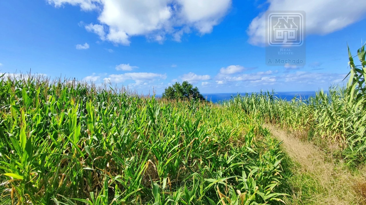 Terreno Agricola ou Rústico para Venda em Ajuda da Bretanha Foto 23