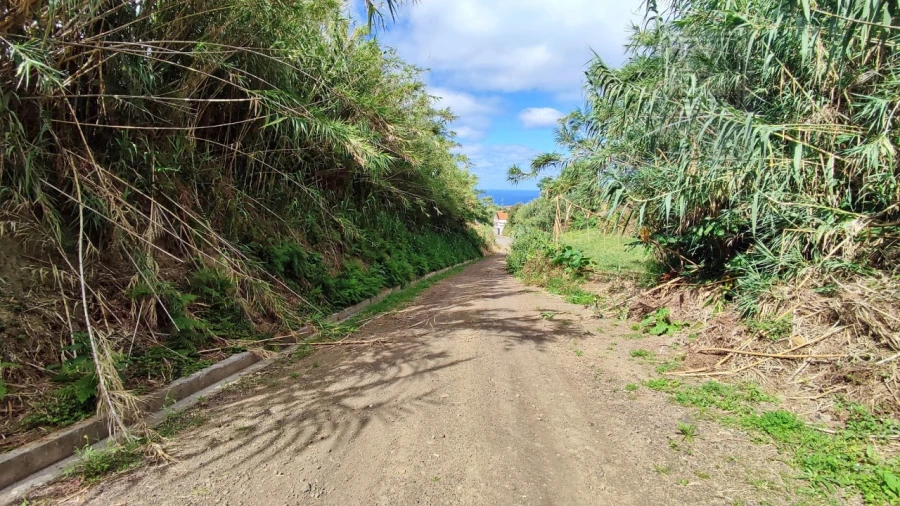 Terreno Agricola ou Rústico para Venda em Ajuda da Bretanha Foto 6