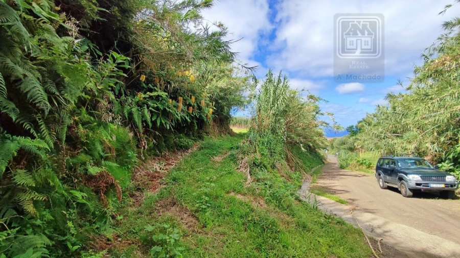Terreno Agricola ou Rústico para Venda em Ajuda da Bretanha Foto 7