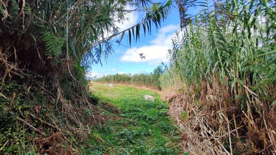 Terreno Agricola ou Rústico para Venda em Ajuda da Bretanha Foto 8
