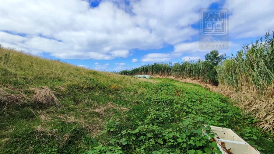Terreno Agricola ou Rústico para Venda em Ajuda da Bretanha Foto 9