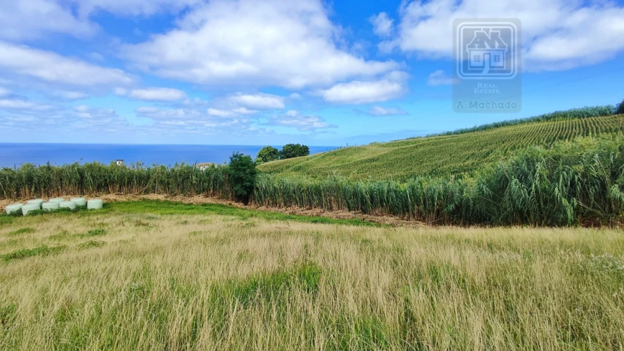 Terreno Agricola ou Rústico para Venda em Ajuda da Bretanha Foto 14