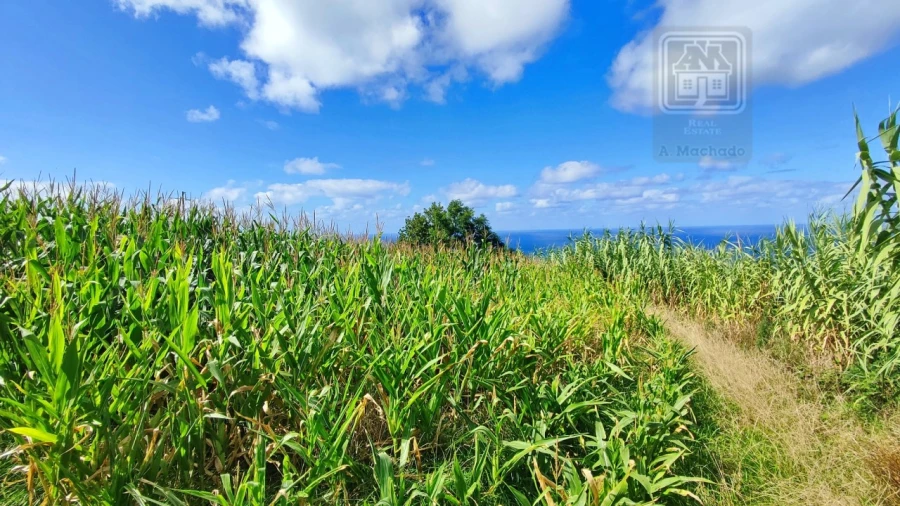 Terreno Agricola ou Rústico para Venda em Ajuda da Bretanha Foto 23