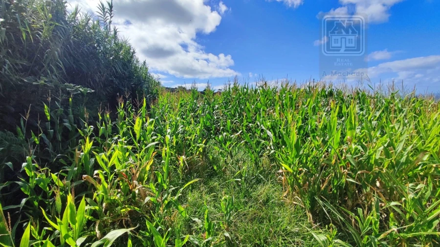 Terreno Agricola ou Rústico para Venda em Ajuda da Bretanha Foto 24