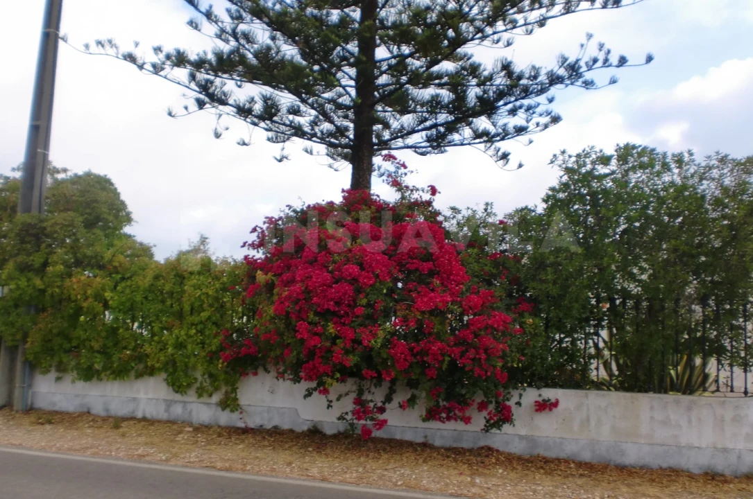 Quinta T7 para Venda em Seixas Foto 42