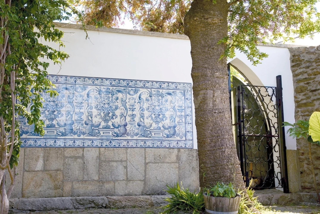 Quinta T7 para Venda em Seixas Foto 21