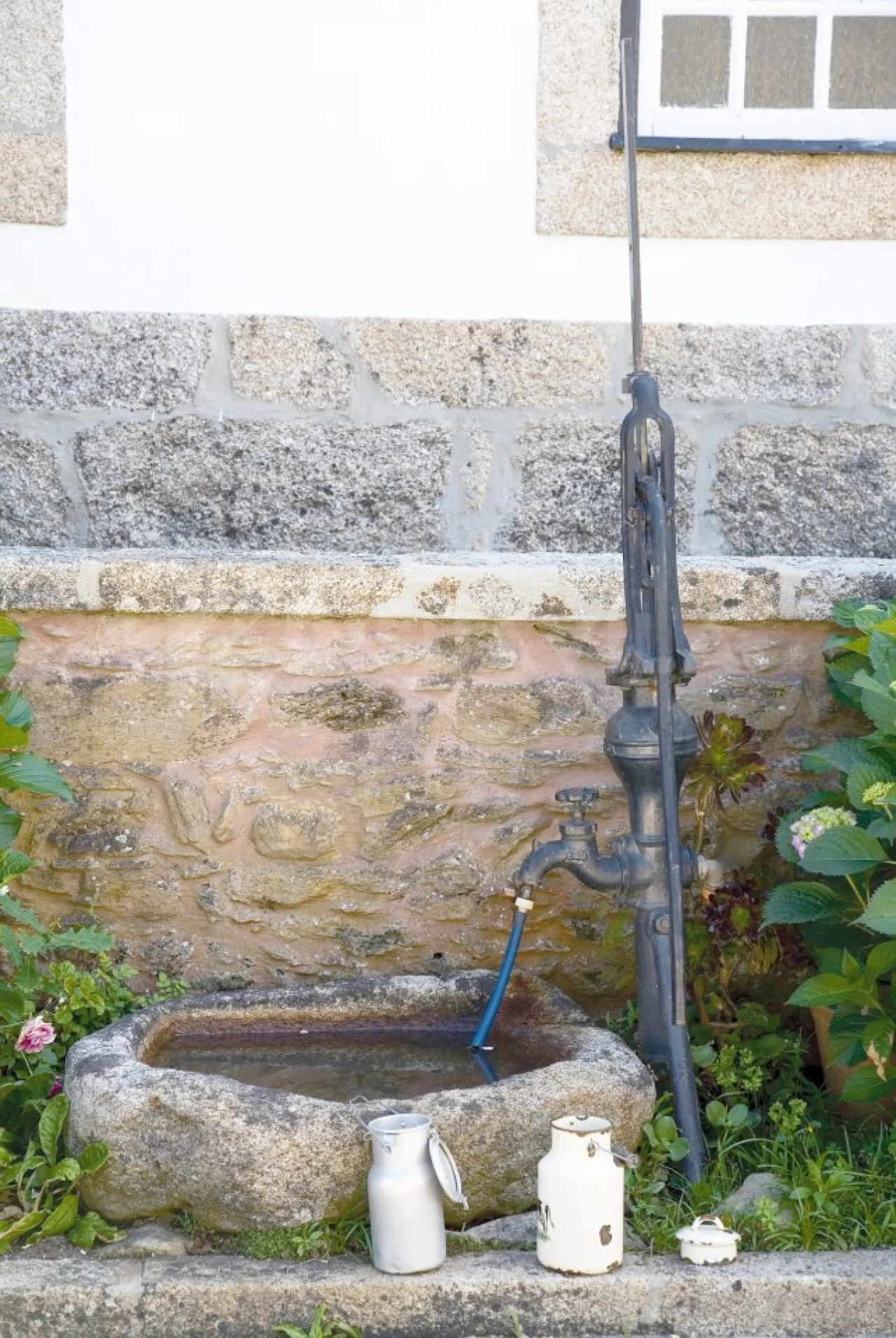 Quinta T7 para Venda em Seixas Foto 22