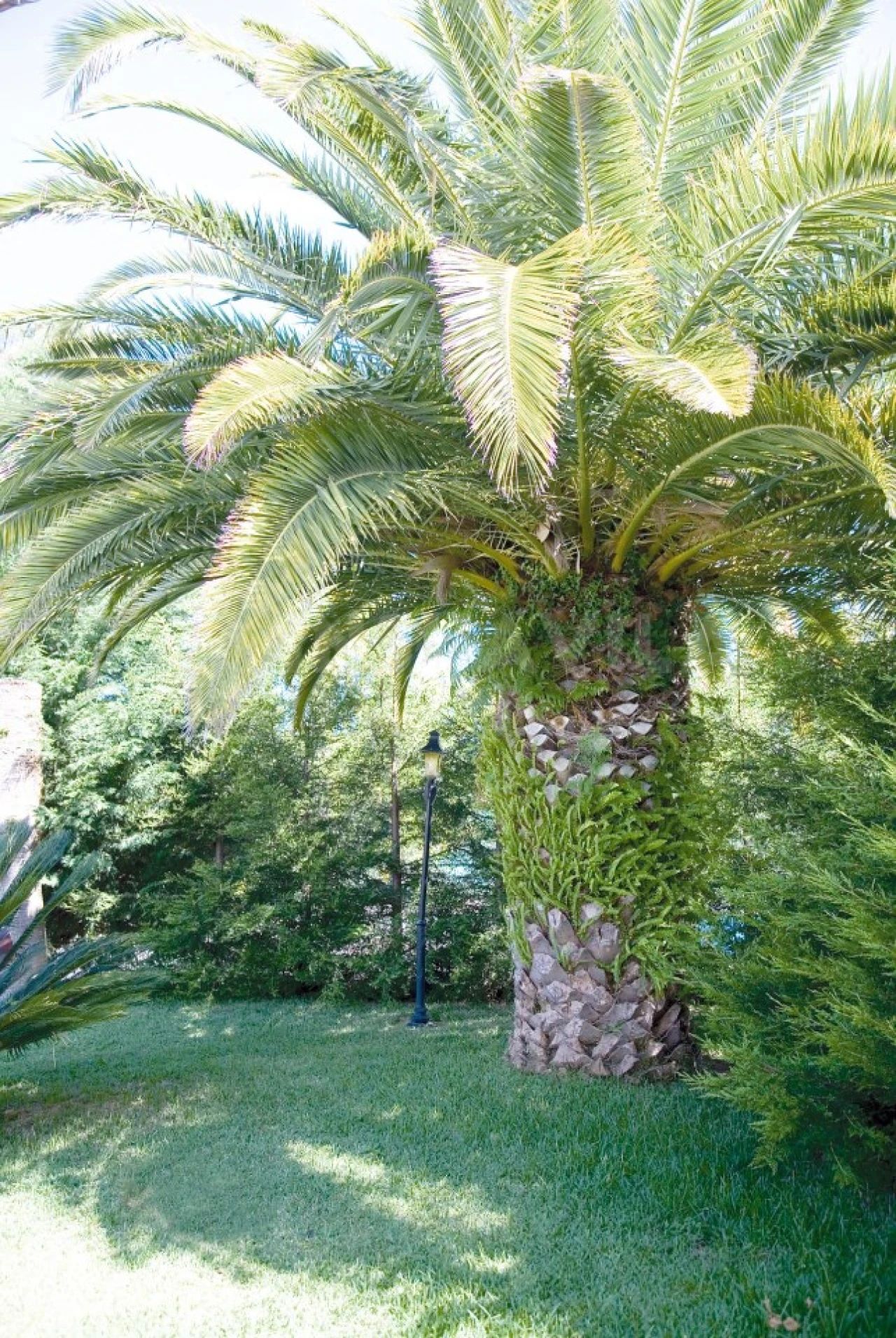 Quinta T7 para Venda em Seixas Foto 26