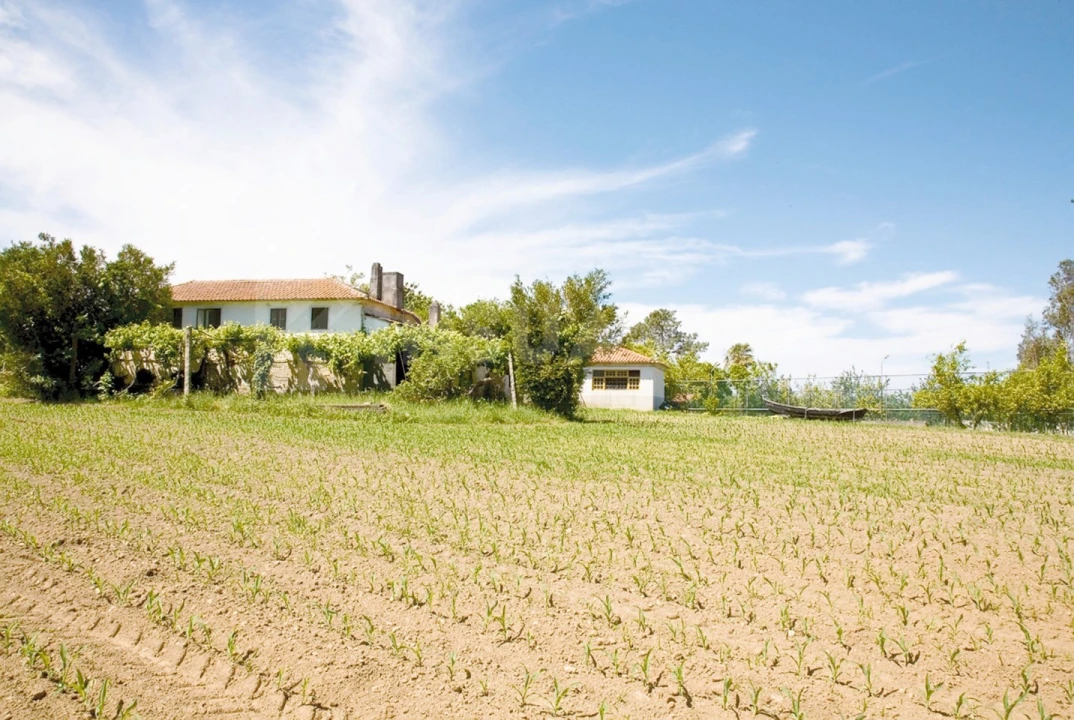 Quinta T7 para Venda em Seixas Foto 41