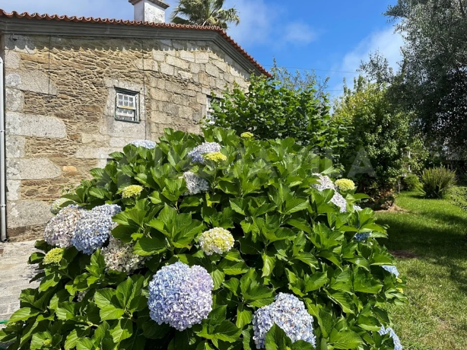 Quinta T7 para Venda em Seixas Foto 4