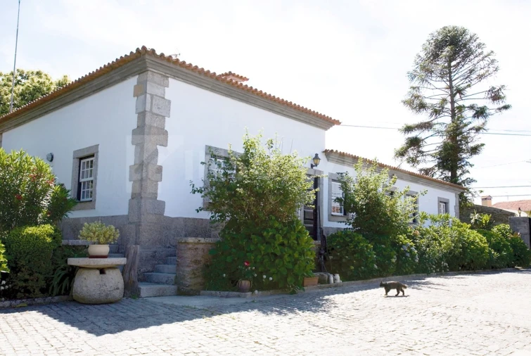 Quinta T7 para Venda em Seixas Foto 17