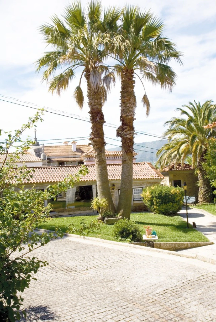 Quinta T7 para Venda em Seixas Foto 18