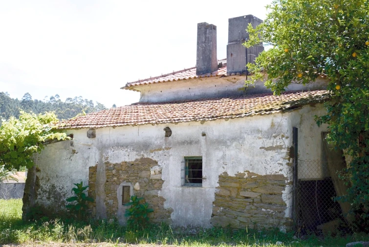Quinta T7 para Venda em Seixas Foto 47