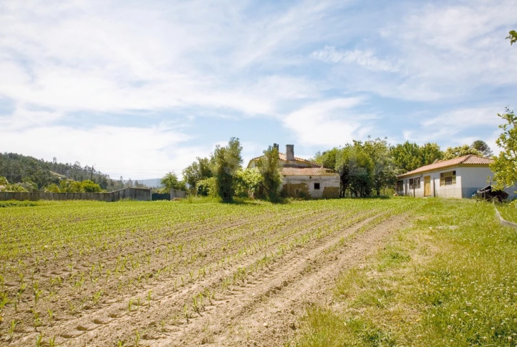 Quinta T7 para Venda em Seixas Foto 40