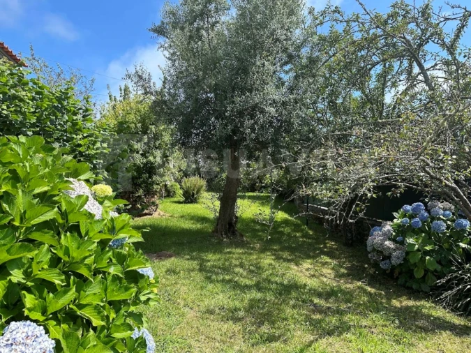 Quinta T7 para Venda em Seixas Foto 38