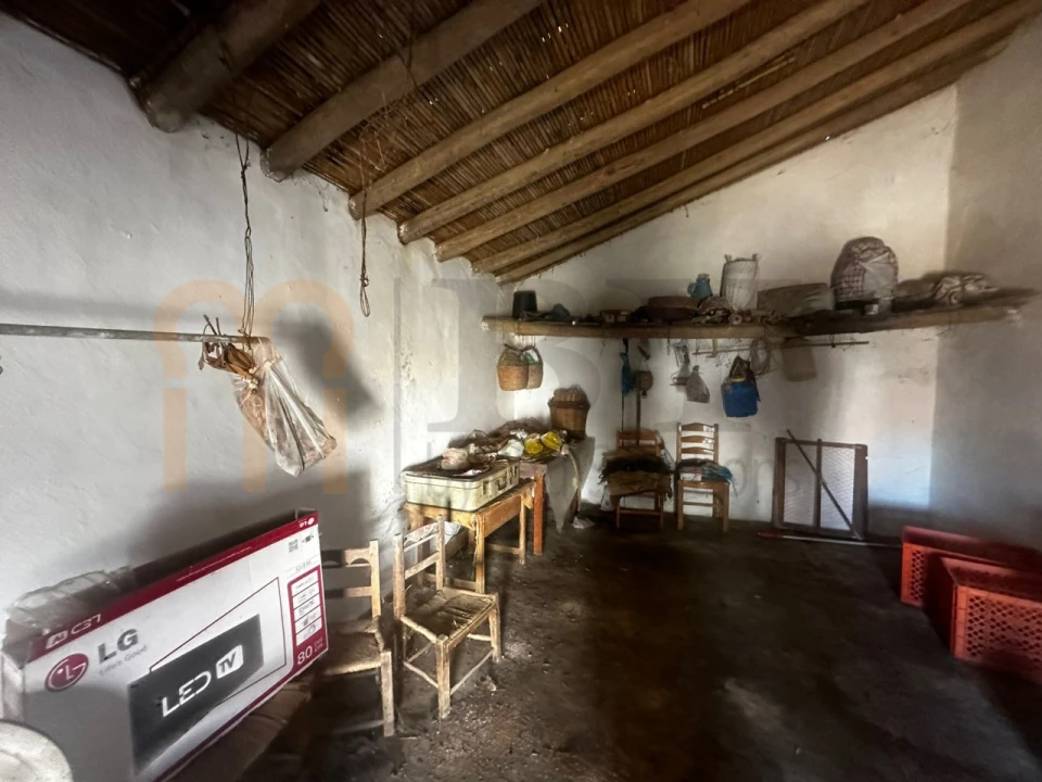 Moradia T3 para Venda em São Miguel do Pinheiro, São Pedro de Solis, São Sebastião dos Carros Foto 12