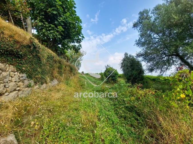 Terreno para Venda em Gondufe Foto 5