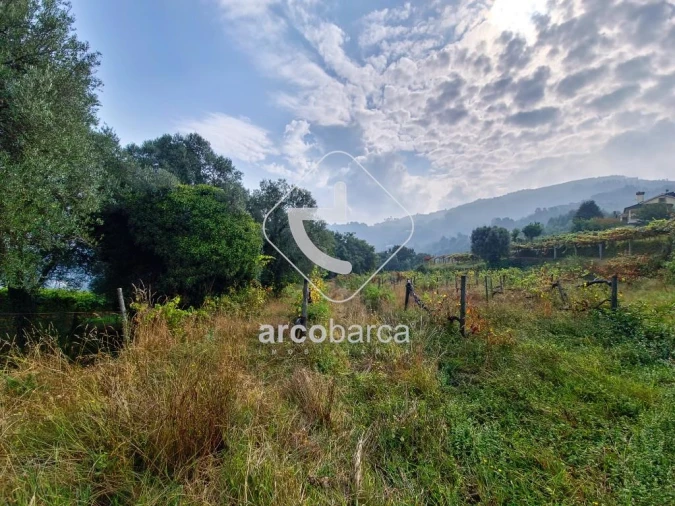 Terreno para Venda em Gondufe Foto 4