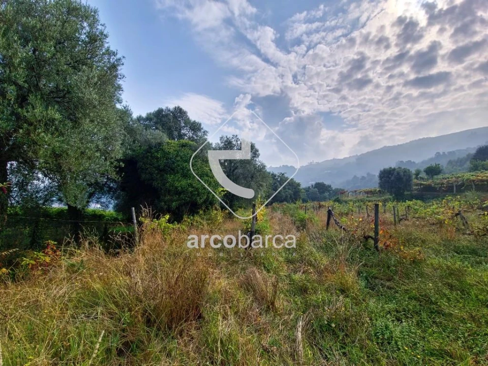 Terreno para Venda em Gondufe Foto 6