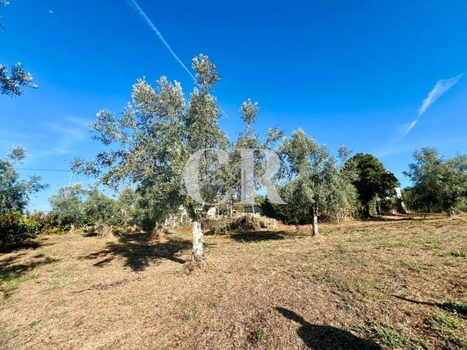 Moradia T2 para Venda em Graça Foto 36