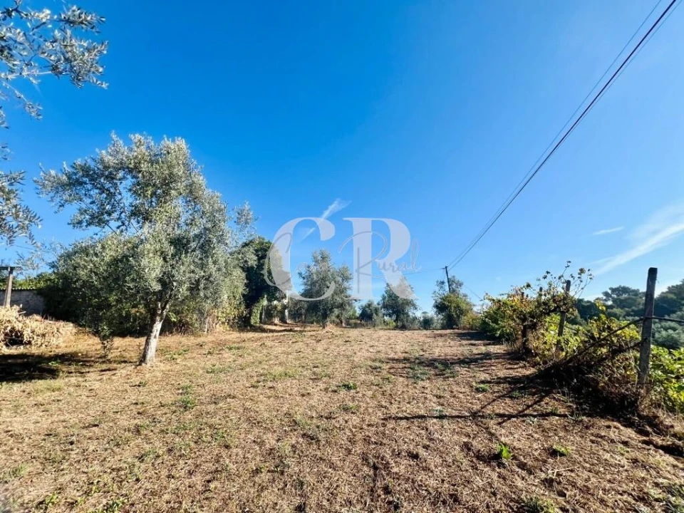 Moradia T2 para Venda em Graça Foto 35