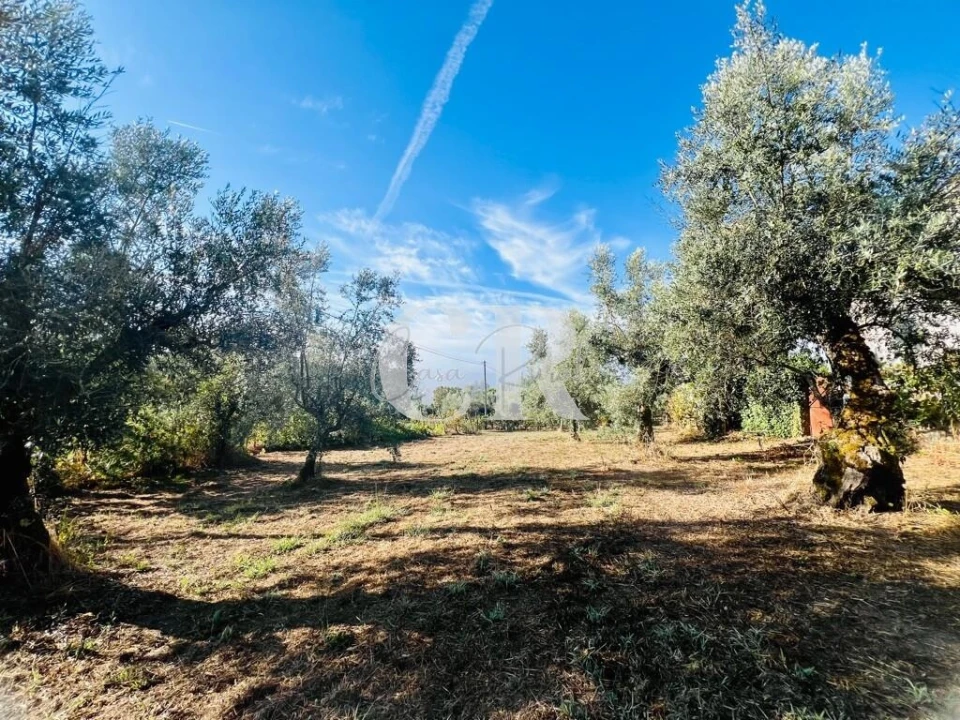 Moradia T2 para Venda em Graça Foto 34